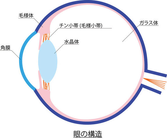 졼åAirFly Ϸ