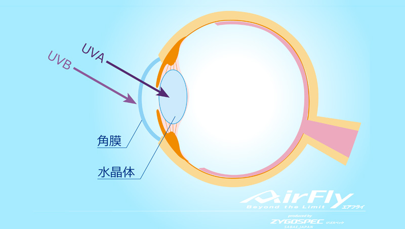 スポーツサングラス スポーツアイウェア UV 紫外線 眼 目