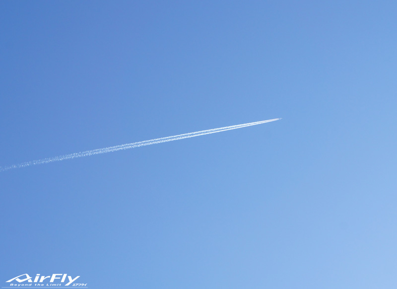 スポーツサングラス スポーツアイウェア エアフライ AirFly