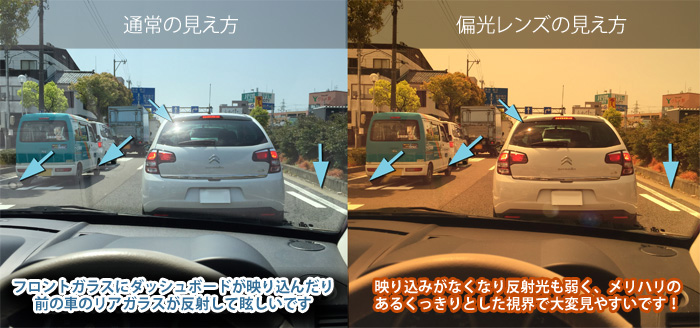 偏光レンズって Staff Blog 株式会社ジゴスペック