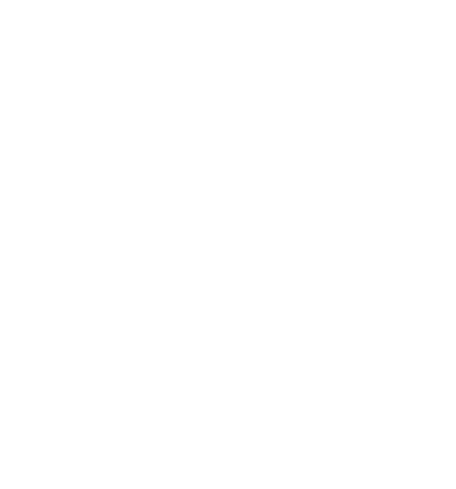 SNOW FIELD