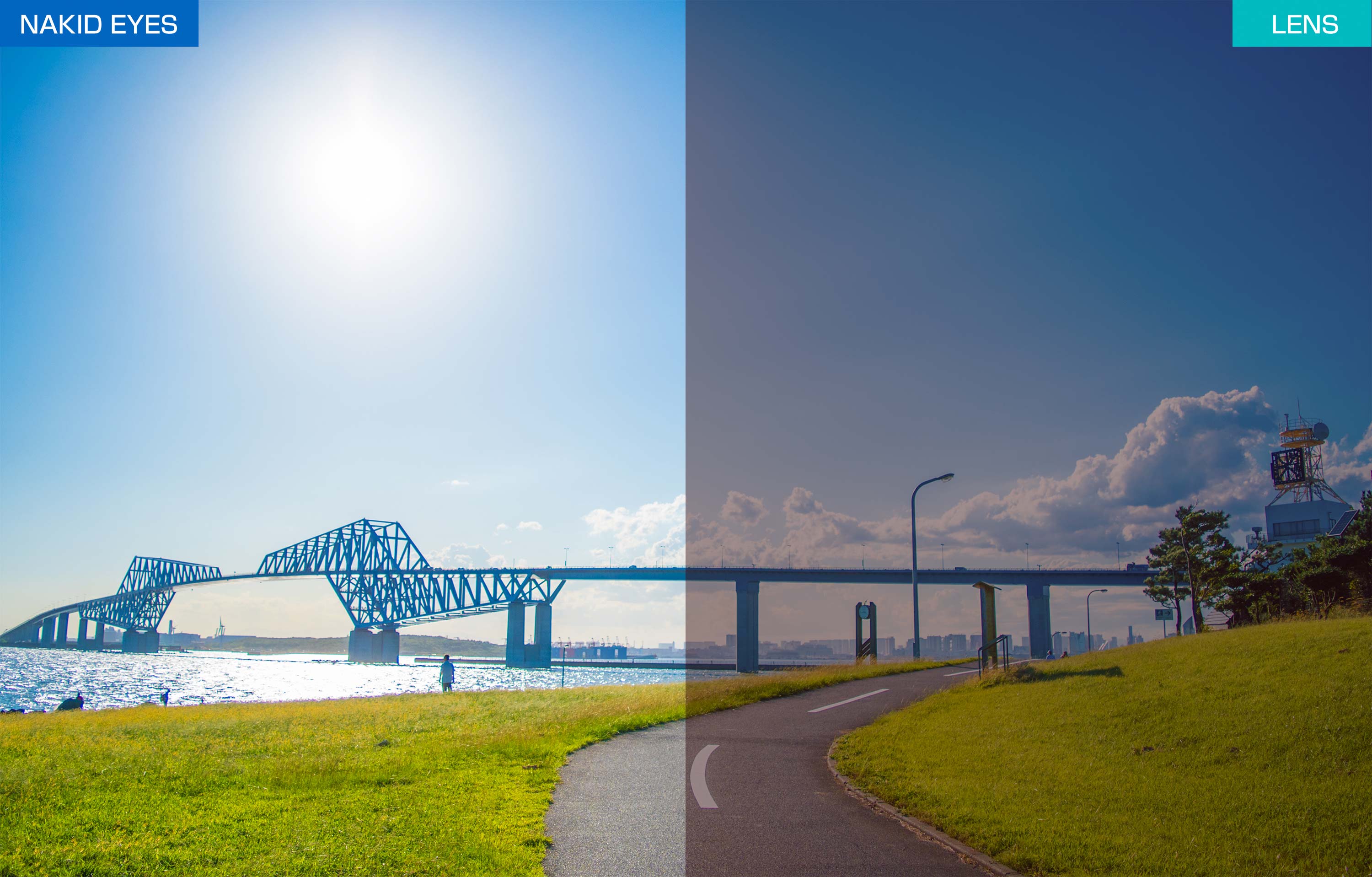 AF-302SP Build in Photochromic HC Rose Lens