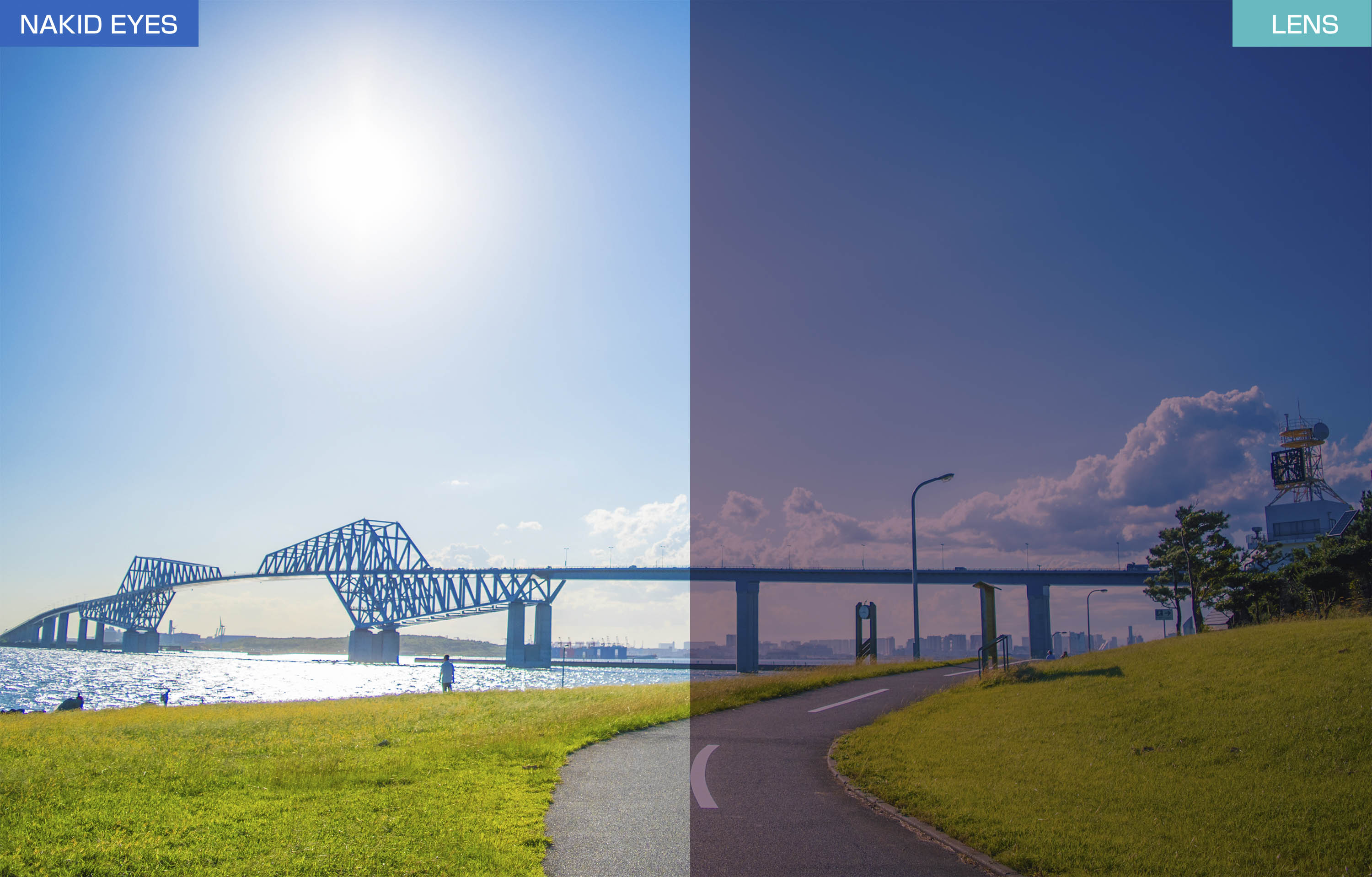 AF-302WP KEI SAWAKI EDITION