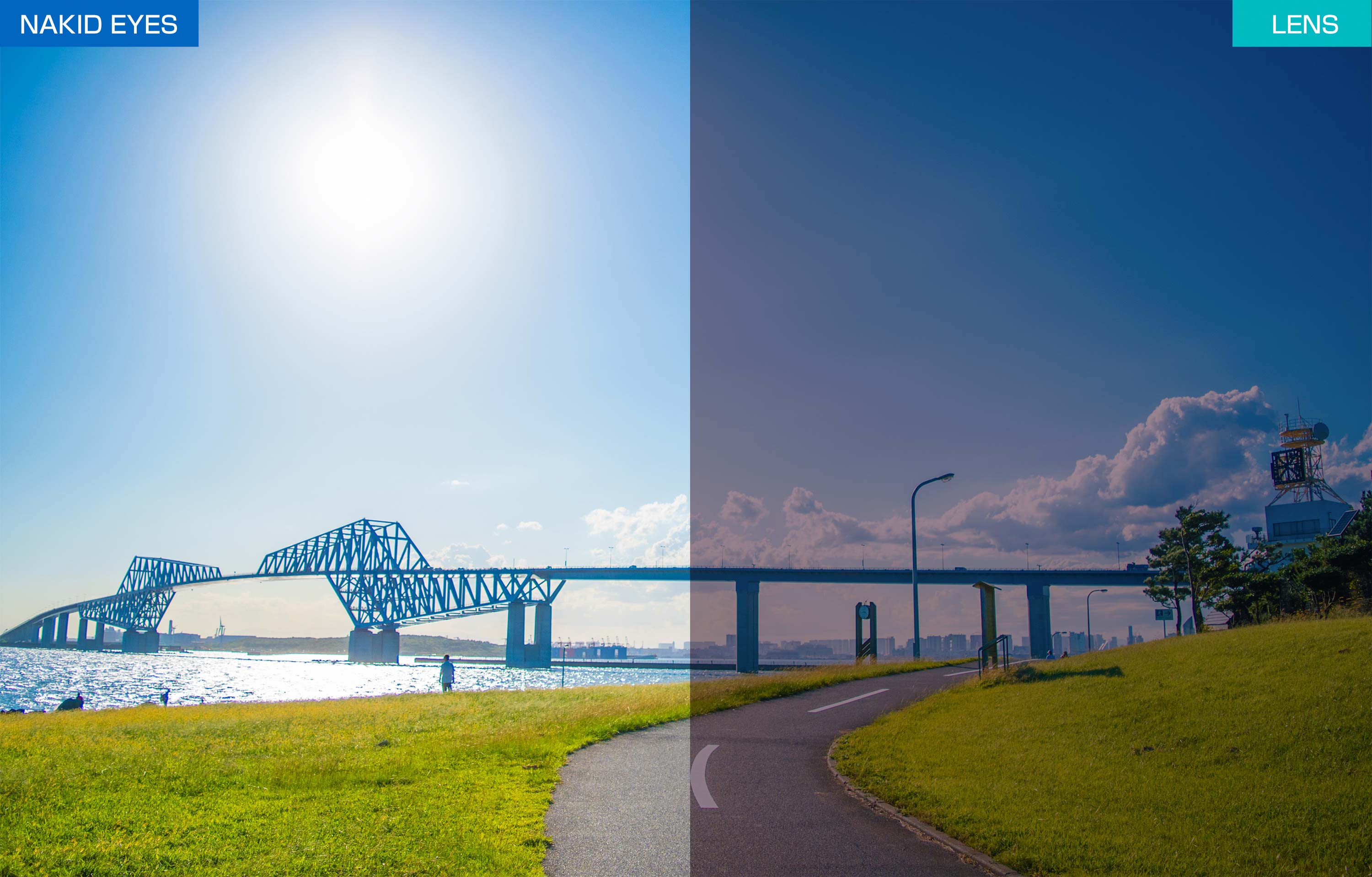 AF-302WP Ĵ���ԥ󥯥���Ȥ߹��ߥ��å�