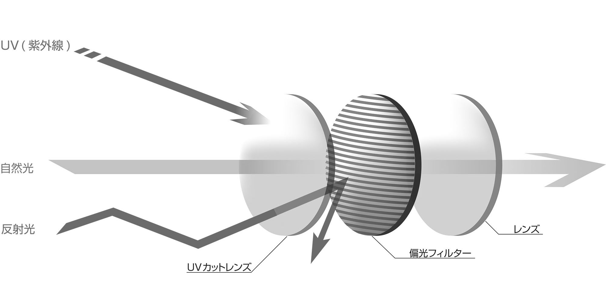 偏光レンズの仕組み/構造 反射光を省くAF-402 AirFly エアフライ