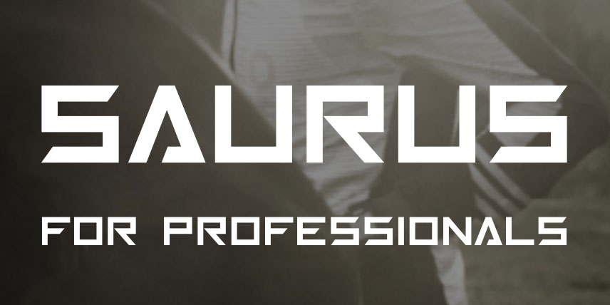 SAURUS FOR PROFESSIONALS 륹 ޥץ  